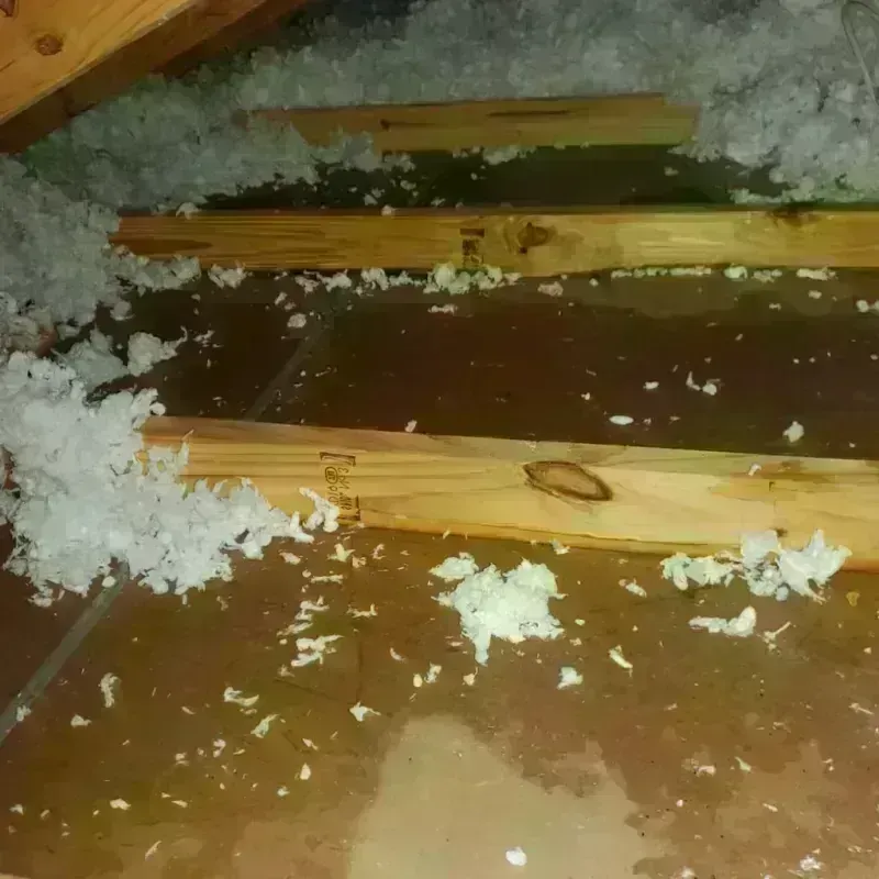 Attic Water Damage in Darlington, WI