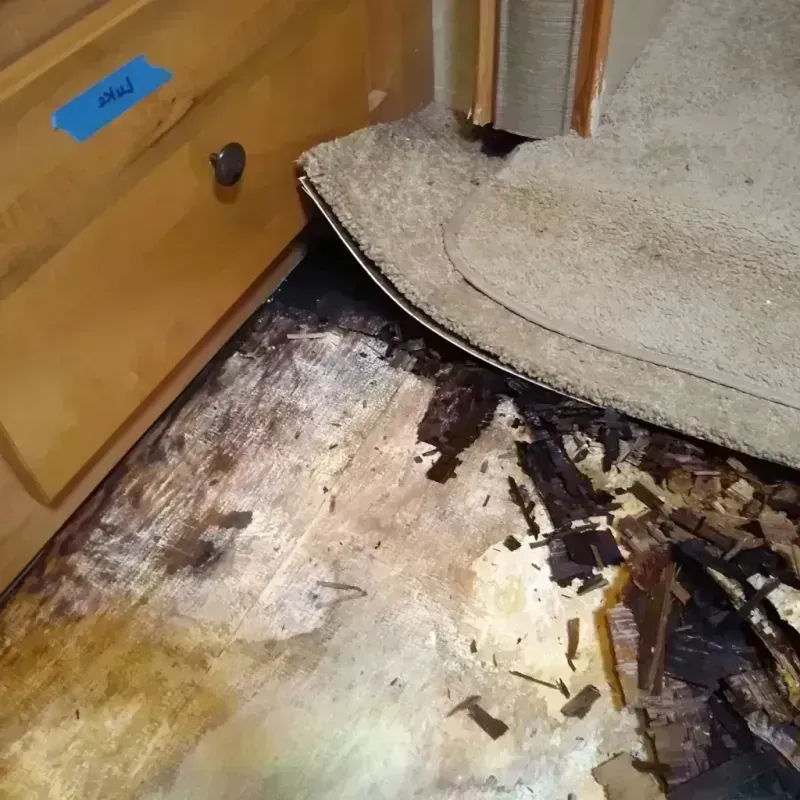 Wood Floor Water Damage in Darlington, WI